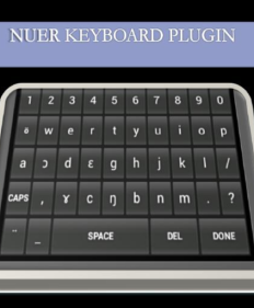 A computer keyboard with the nuer keyboard plugin.